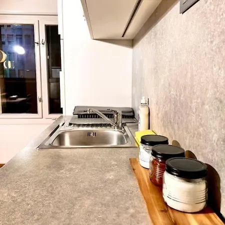Big Flat In The Centre شقة ليوبليانا