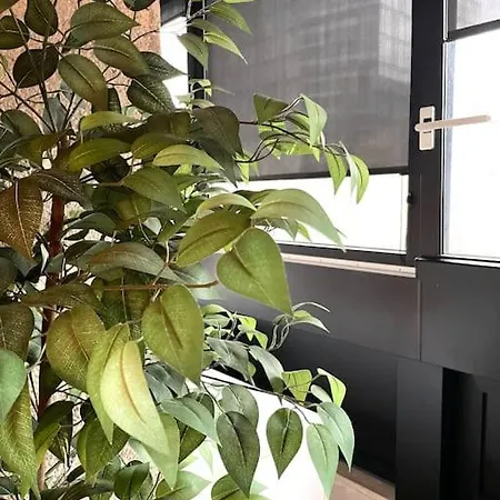 Big Flat In The Centre Апартаменты
